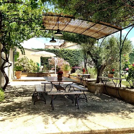 Le Temps Des Olives