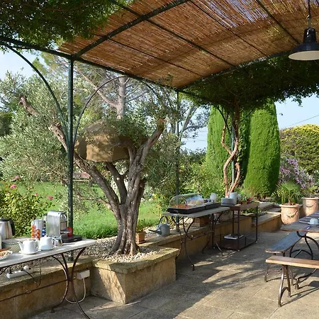 Le Temps Des Olives *